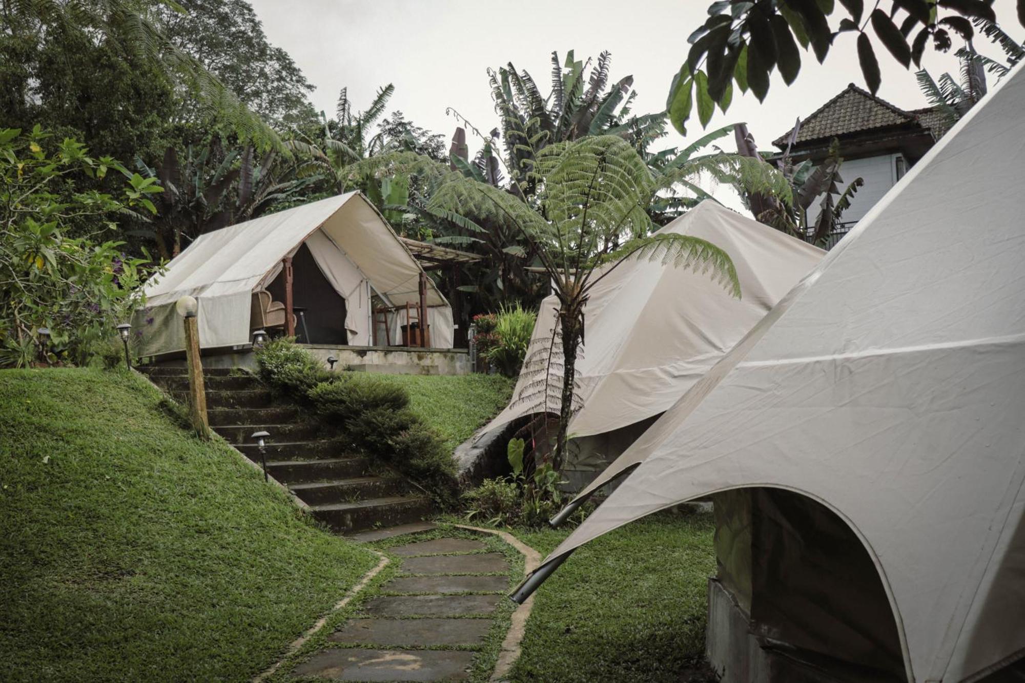 Alamu Eco Lodge Bedugul  Dış mekan fotoğraf