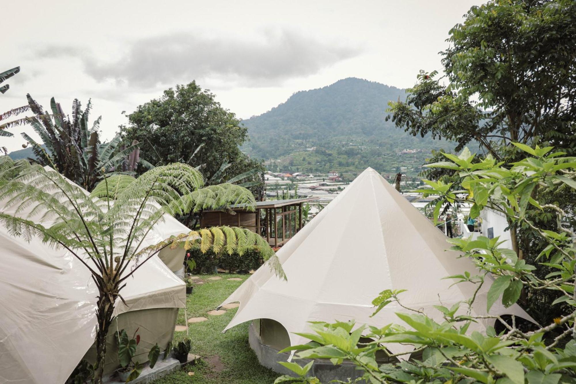 Alamu Eco Lodge Bedugul  Dış mekan fotoğraf