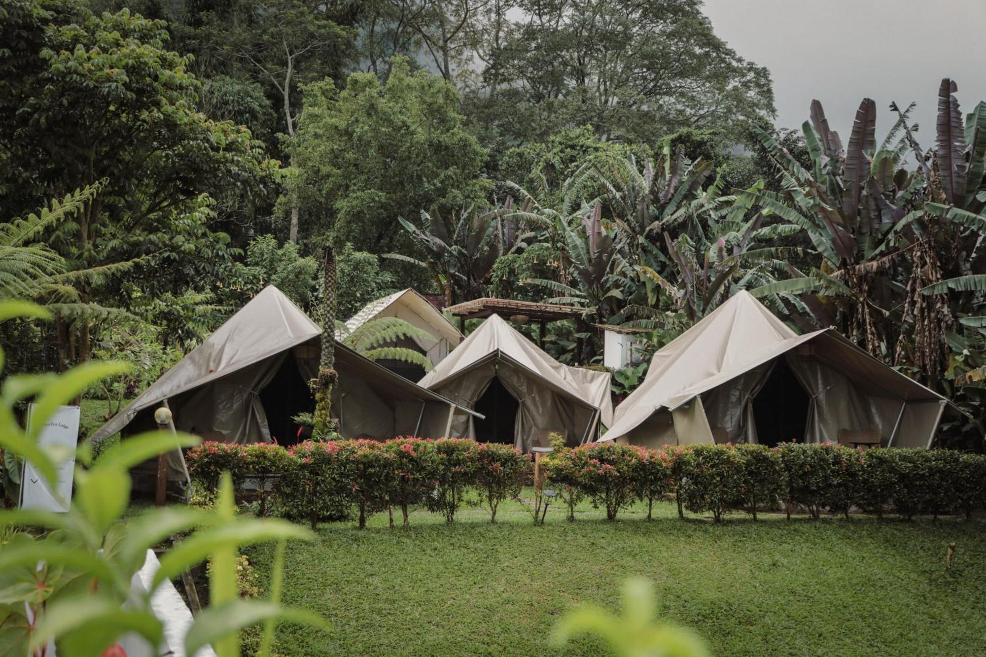 Alamu Eco Lodge Bedugul  Dış mekan fotoğraf