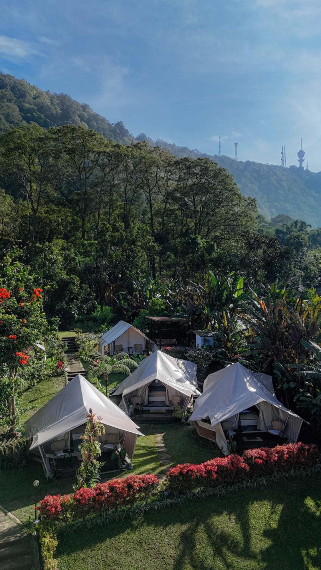 Alamu Eco Lodge Bedugul  Dış mekan fotoğraf