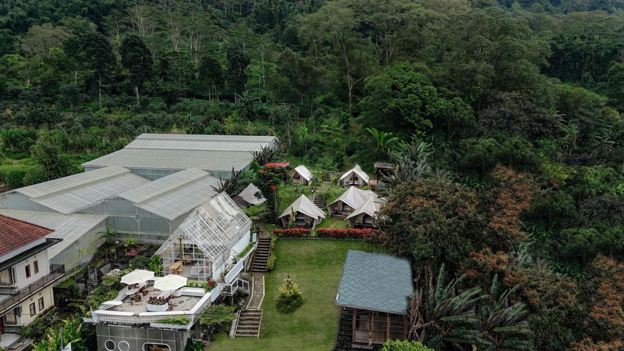 Alamu Eco Lodge Bedugul  Dış mekan fotoğraf