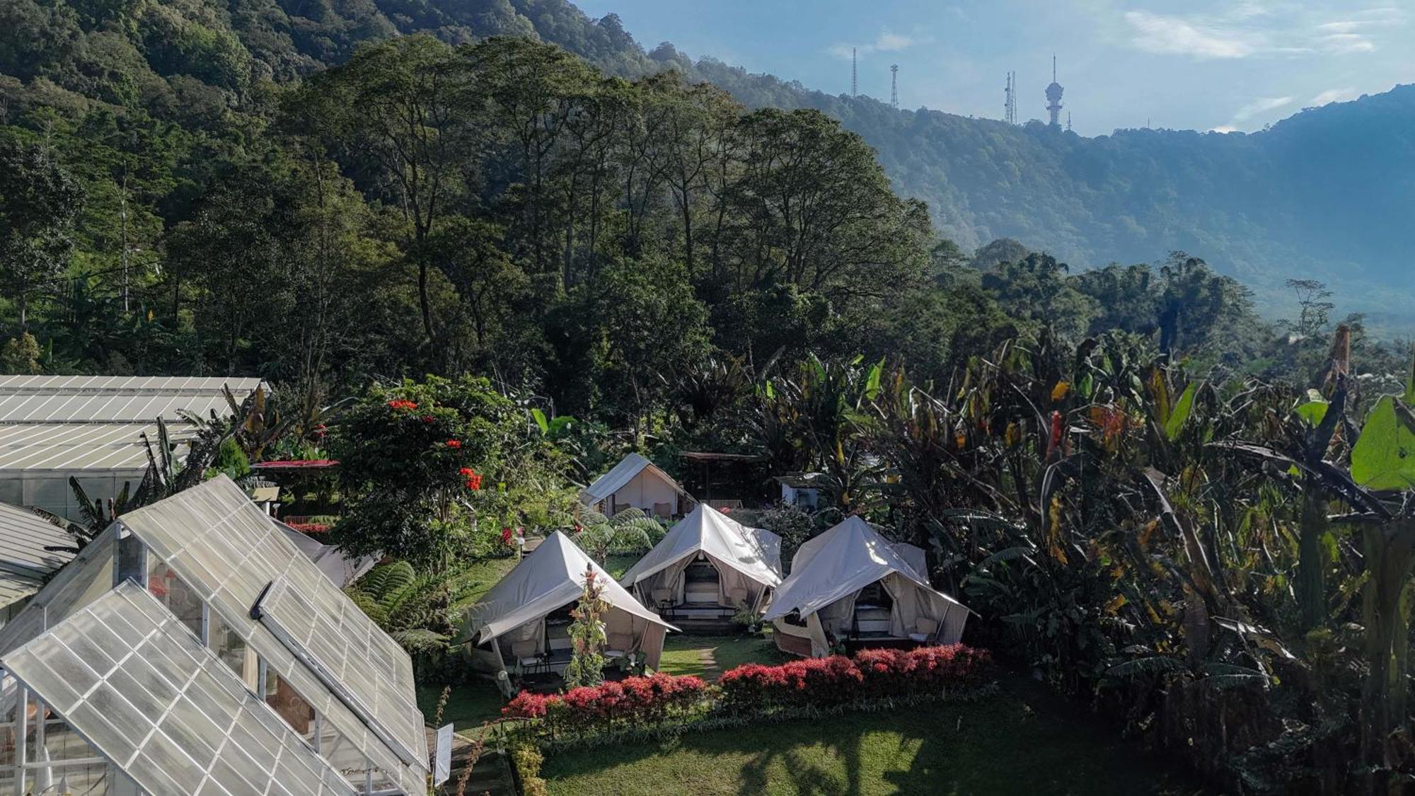 Alamu Eco Lodge Bedugul  Dış mekan fotoğraf