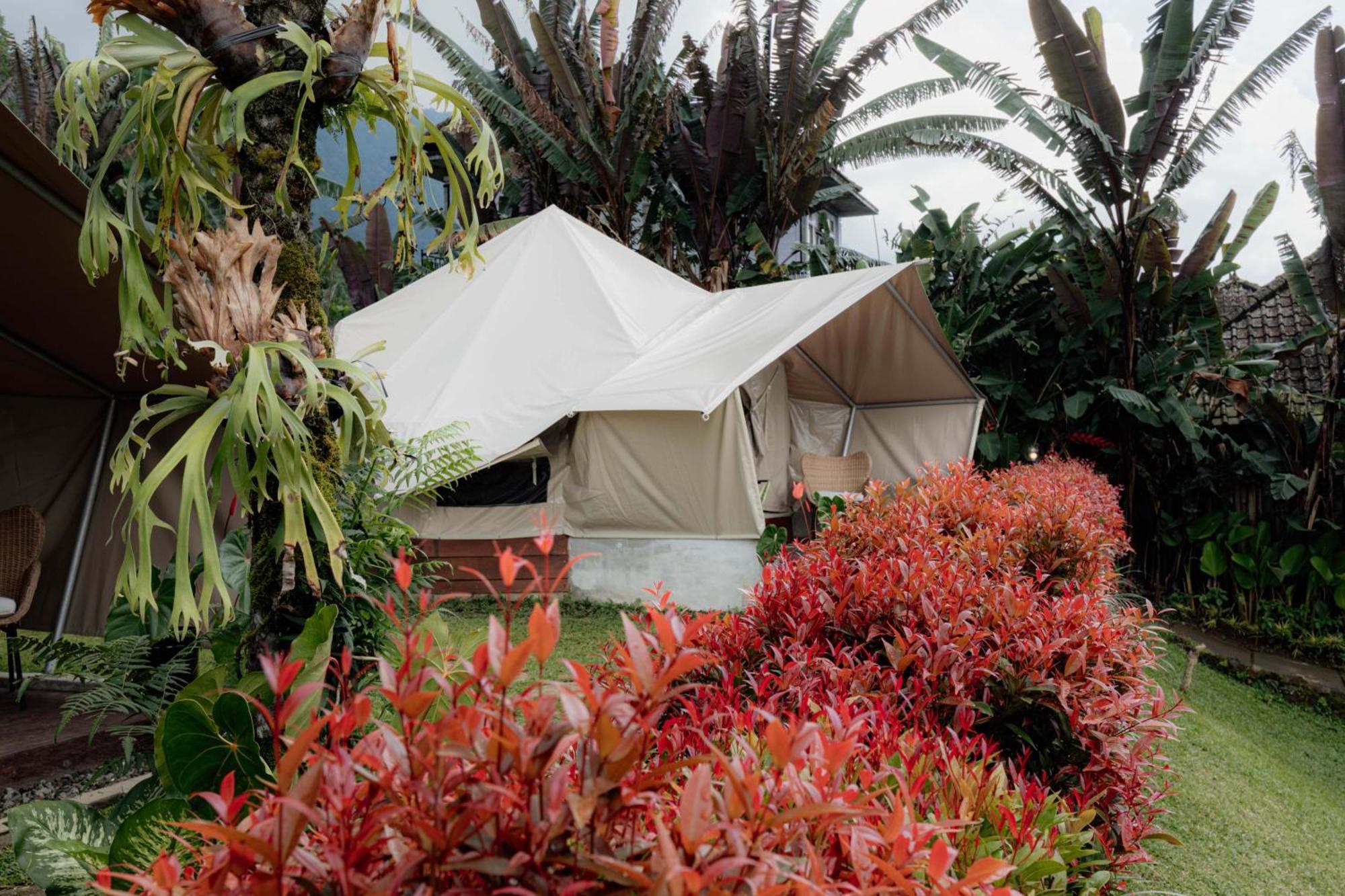 Alamu Eco Lodge Bedugul  Dış mekan fotoğraf