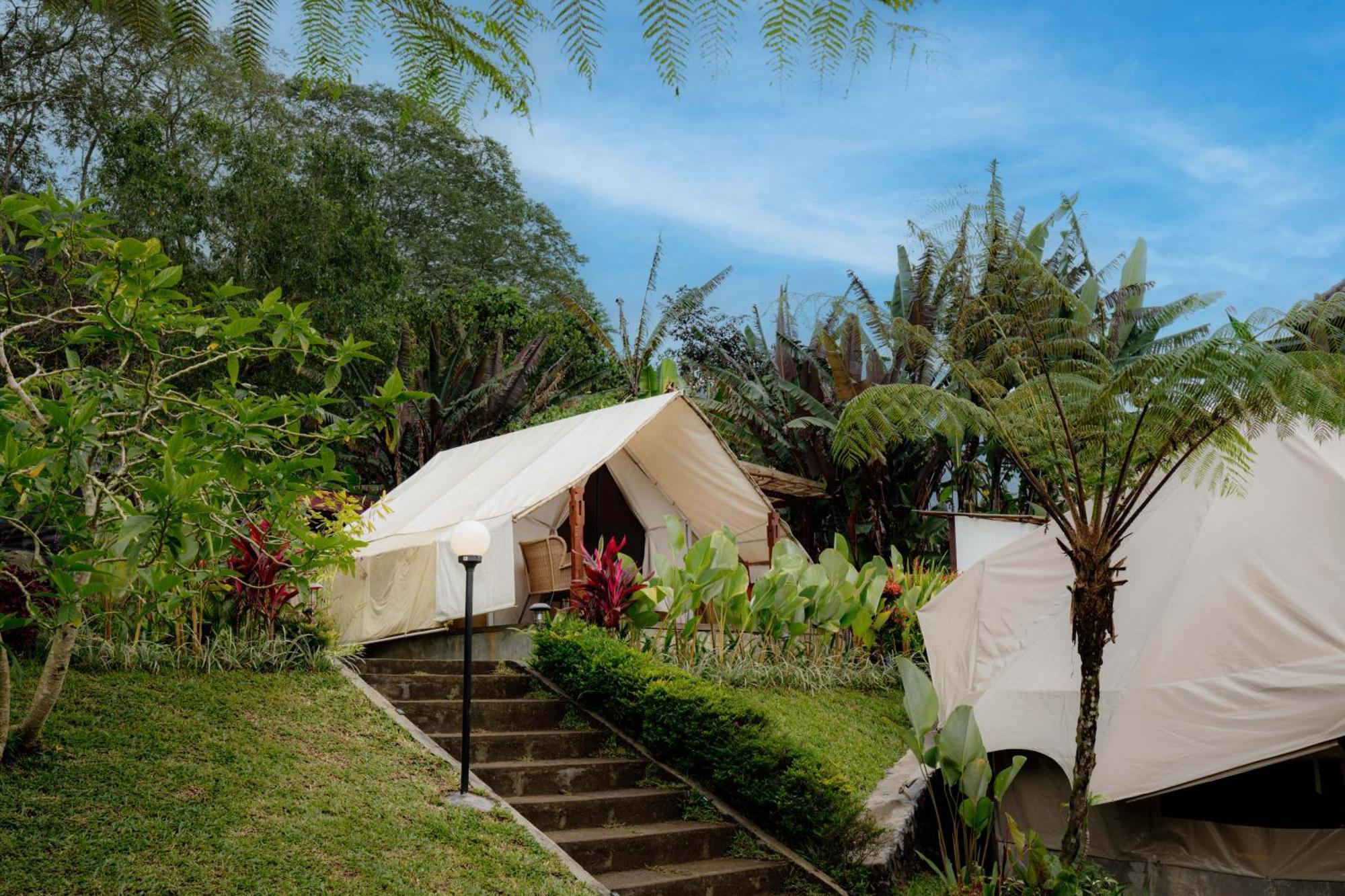Alamu Eco Lodge Bedugul  Dış mekan fotoğraf